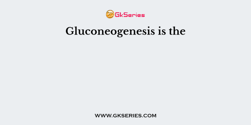 Gluconeogenesis is the