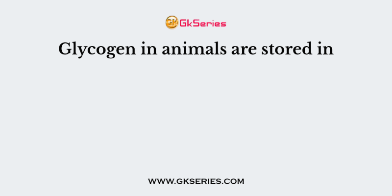 Glycogen in animals are stored in
