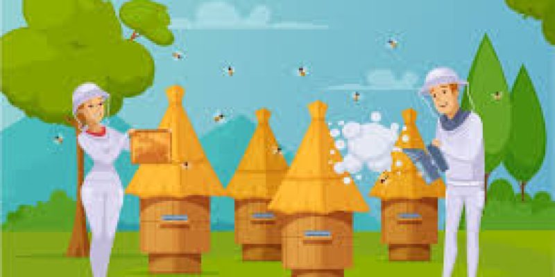 Golden Revolution in India