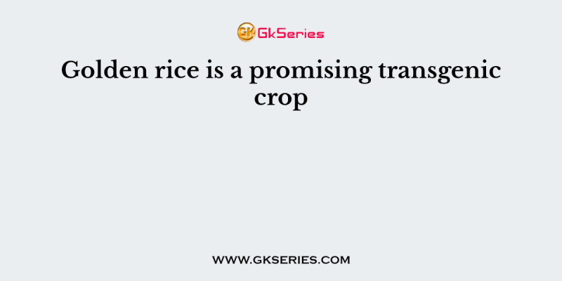 Golden rice is a promising transgenic crop. When released for cultivation, it will help in