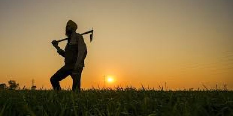 Government Achieves 10,000 Farmer Producer Organizations (FPOs) Goal