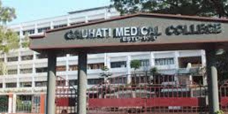 Government Medical Colleges in Assam
