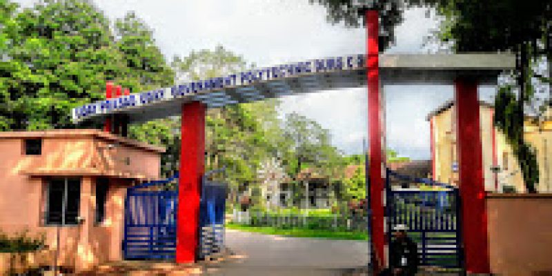 Government Polytechnic, Berla
