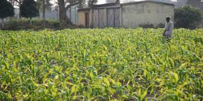 Government initiatives to Promote Farm Mechanization