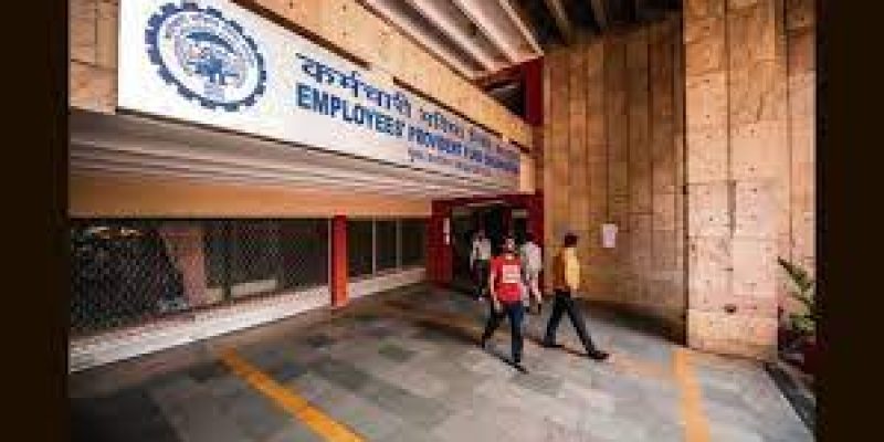 Govt approves 8.15% interest rate on Employees’ Provident Fund for FY23