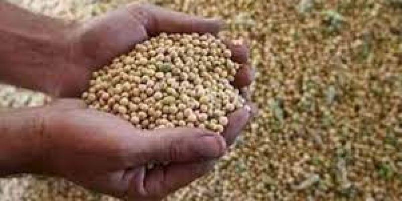 Govt eases norms for import of 1.2 million tonne GM soya cake