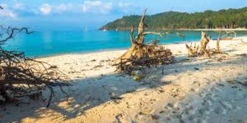 Green panel allows Great Nicobar plan to advance