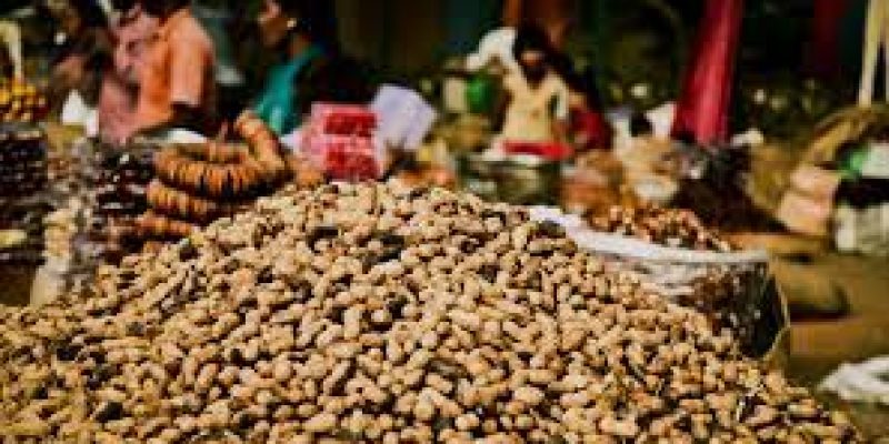 Groundnut Festival ‘Kadalekai Parishe’ begins in Karnataka