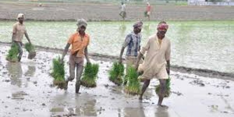 Gujarat launched the ‘Agricultural Diversification Scheme’, 2021