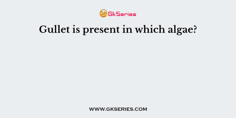 Gullet is present in which algae?