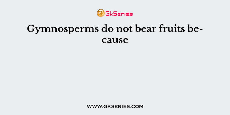 Gymnosperms do not bear fruits because
