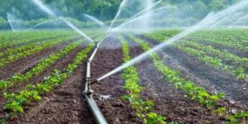 HP Saur Sinchai Yojana