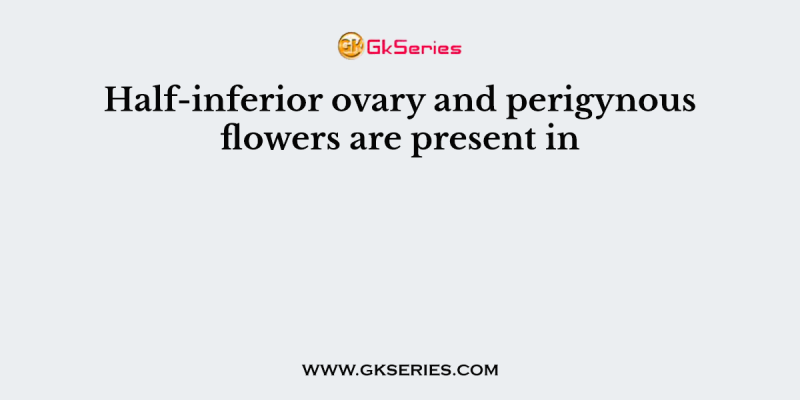 Half-inferior ovary and perigynous flowers are present in
