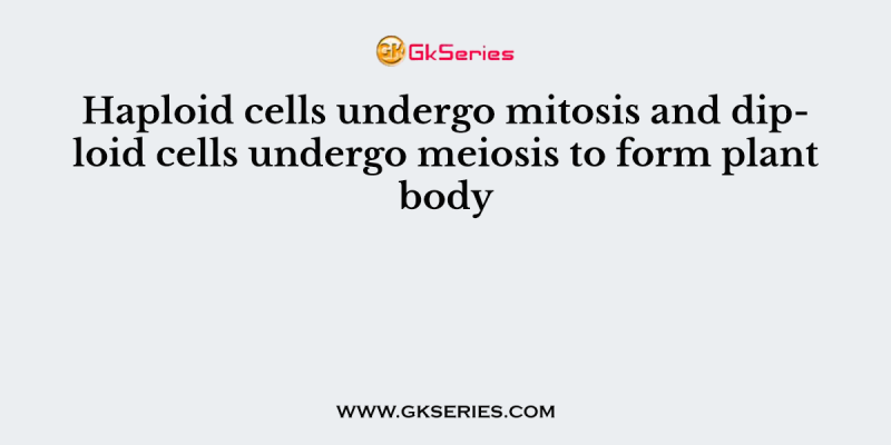 Haploid cells undergo mitosis and diploid cells undergo meiosis to form plant body