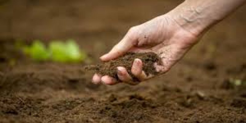 Haryana Launches ‘Har Khet-Swasth Khet’ to Boost Soil Health