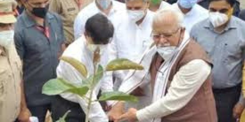 Haryana to create 80 acres of ‘Oxi-van’