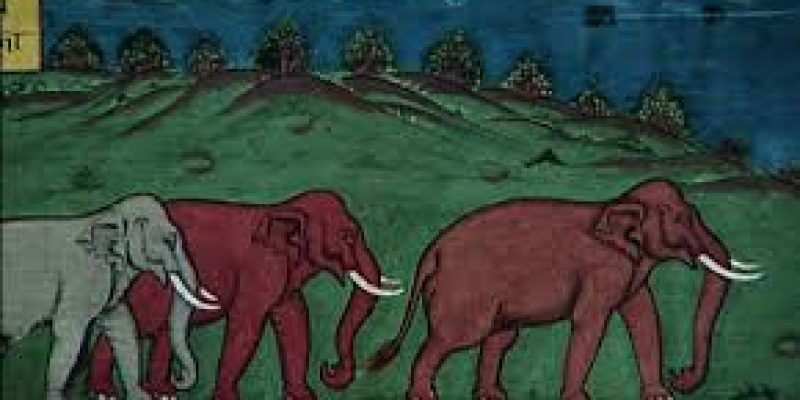 Hastividyārnava –  illustrated manuscripts