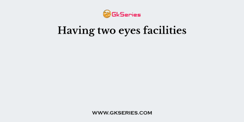 Having two eyes facilities