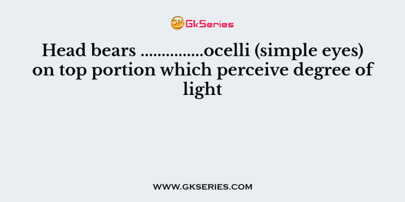 Head bears ……………ocelli (simple eyes) on top portion which perceive degree of light