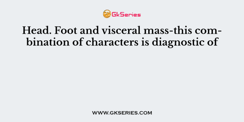 Head. Foot and visceral mass-this combination of characters is diagnostic of