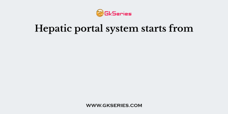 Hepatic portal system starts from