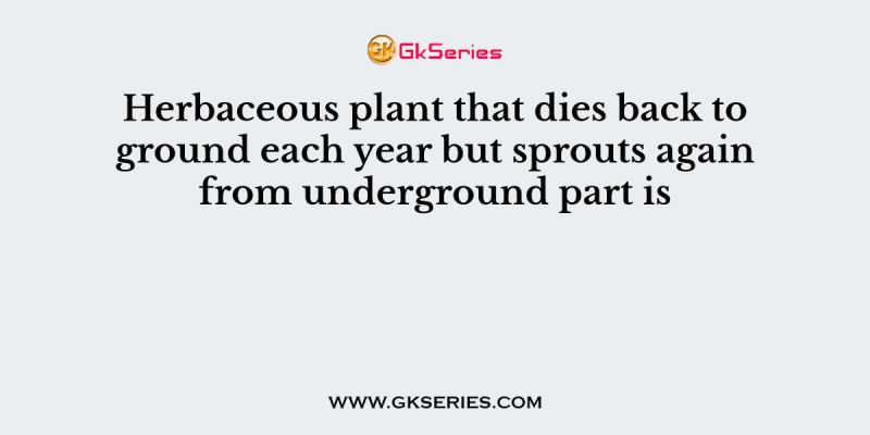 Herbaceous plant that dies back to ground each year but sprouts again from underground part is