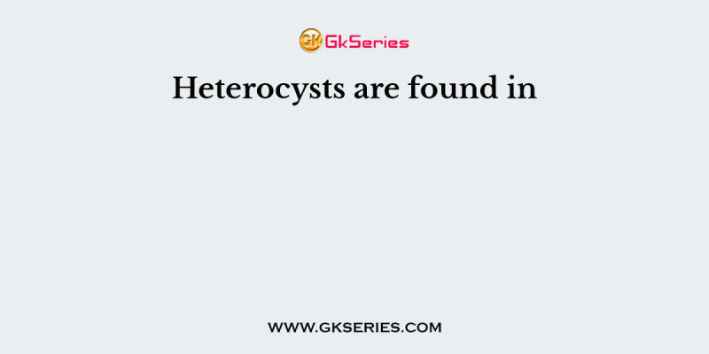Heterocysts are found in