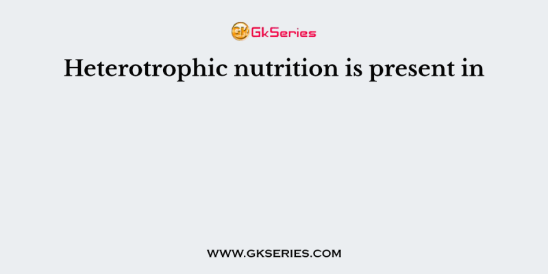 Heterotrophic nutrition is present in