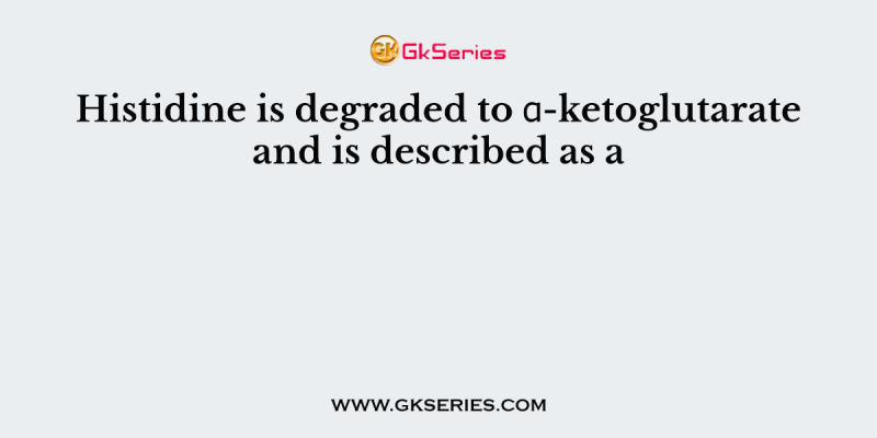 Histidine is degraded to α-ketoglutarate and is described as a
