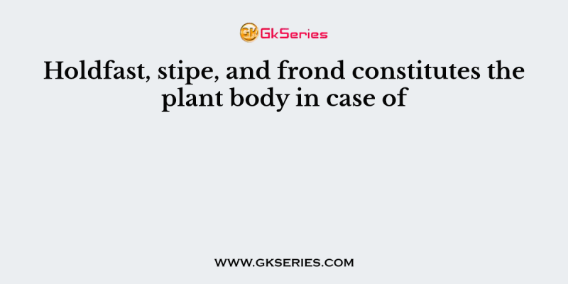 Holdfast, stipe, and frond constitutes the plant body in case of