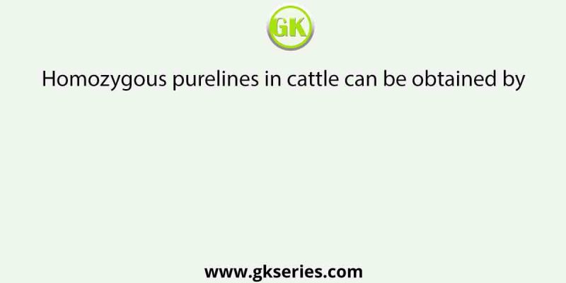 Homozygous purelines in cattle can be obtained by