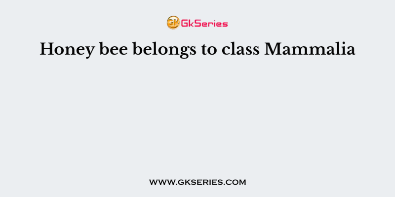 Honey bee belongs to class Mammalia