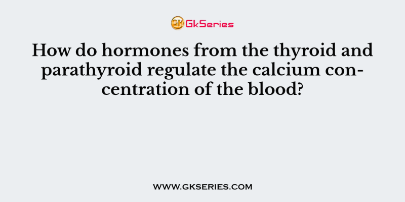 How do hormones from the thyroid and parathyroid regulate the calcium concentration of the blood?