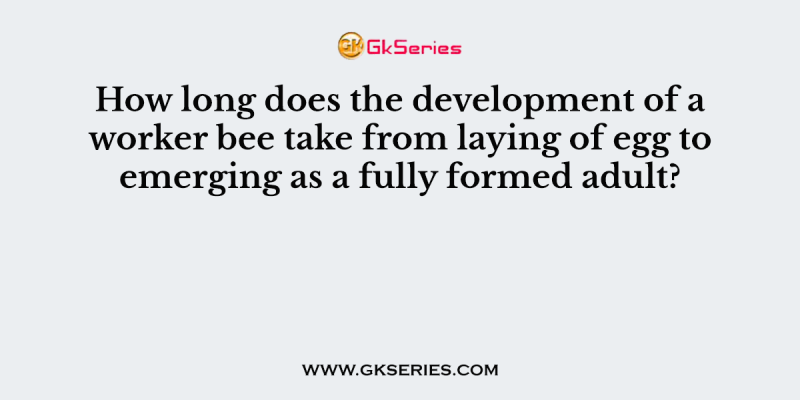 How long does the development of a worker bee take from laying of egg to emerging as a fully formed adult?