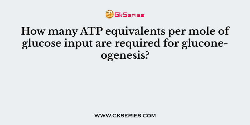 How many ATP equivalents per mole of glucose input are required for gluconeogenesis?