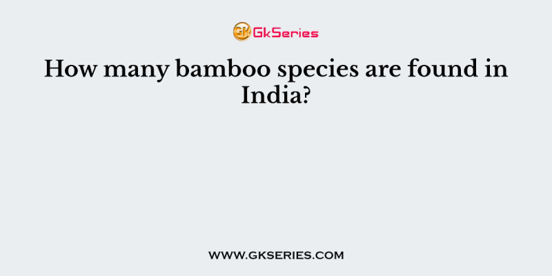 How many bamboo species are found in India?