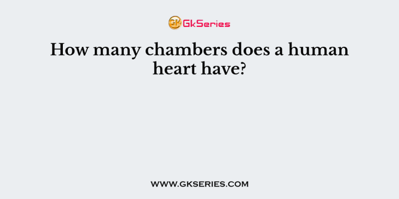 How many chambers does a human heart have?