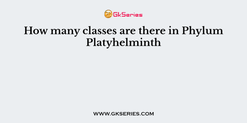How many classes are there in Phylum Platyhelminth