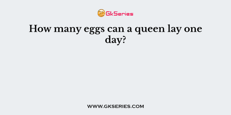 How many eggs can a queen lay one day?