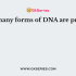 Which type of bonding is present between the N-1 of pyridine and deoxyribose of DNA?