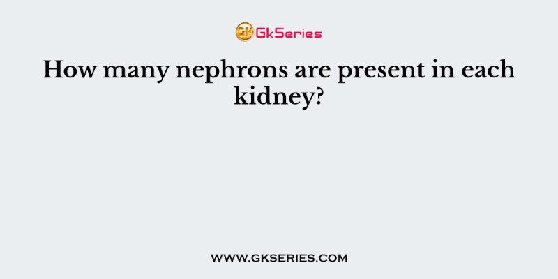 How many nephrons are present in each kidney?