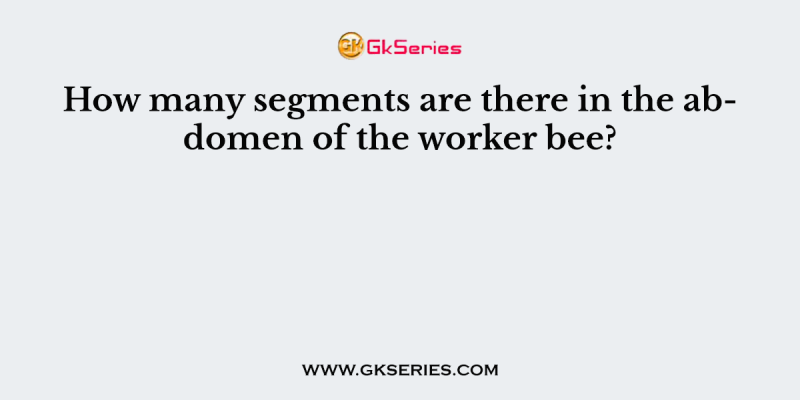 How many segments are there in the abdomen of the worker bee?