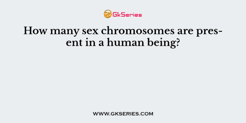How many sex chromosomes are present in a human being?