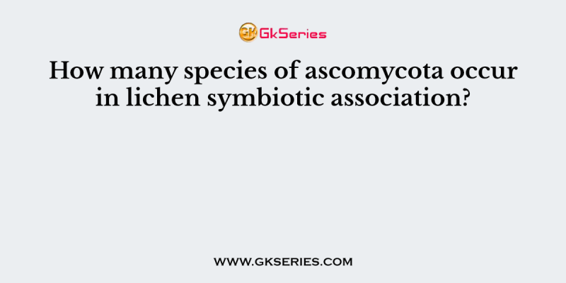 How many species of ascomycota occur in lichen symbiotic association?
