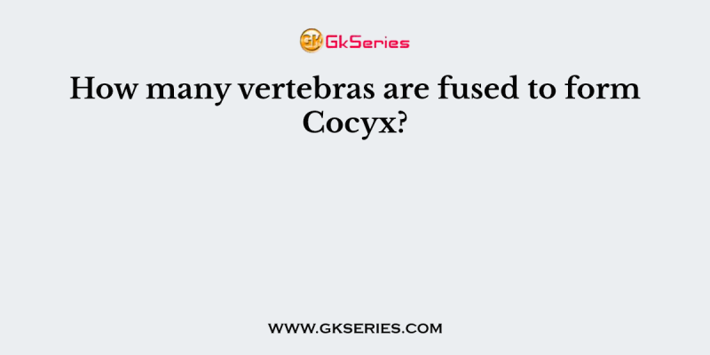 How many vertebras are fused to form Cocyx?