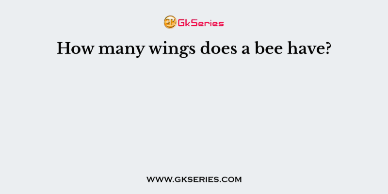 How many wings does a bee have?