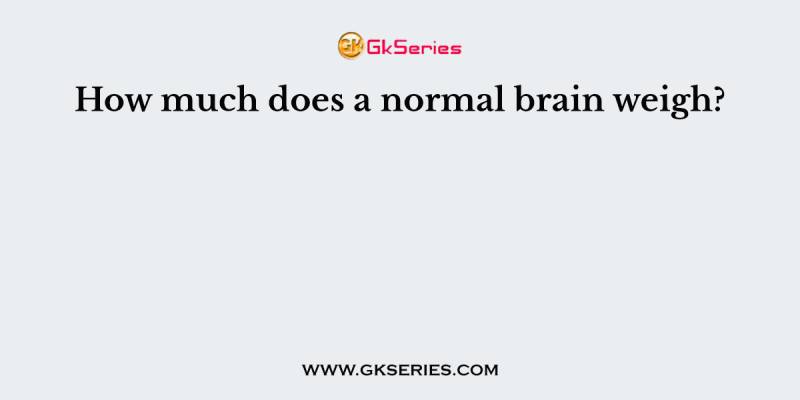 How much does a normal brain weigh?