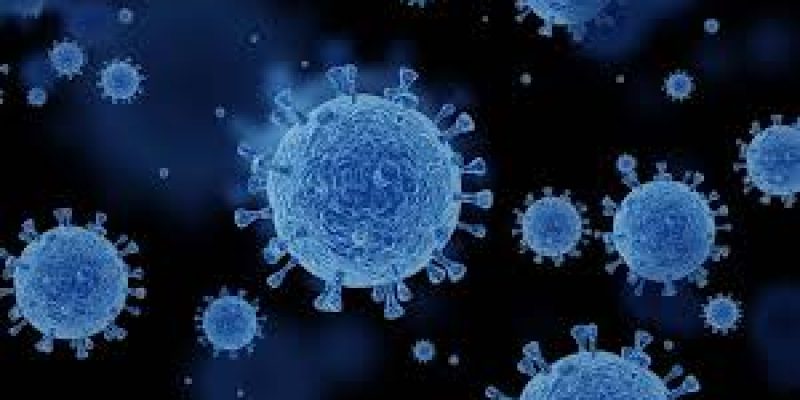 Human Coronavirus HKU1 Detected in Kolkata Woman