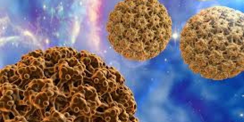 HPV (Human Papillomavirus): Overview and Key Facts