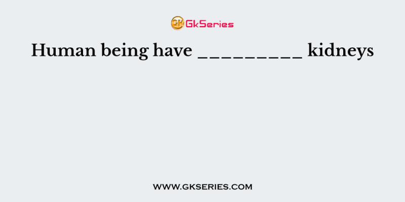 Human being have _________ kidneys